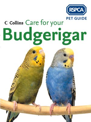 cover image of Care for your Budgerigar